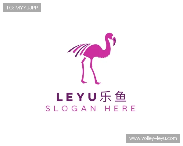 解读leyu.com